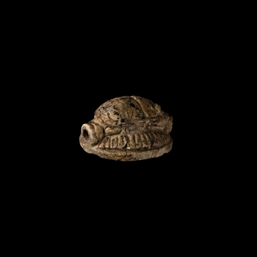 Egyptian Faience Scarab with Hieroglyphs