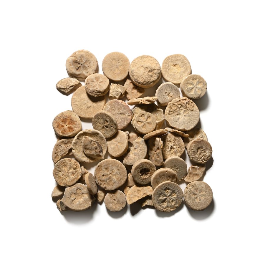 Egyptian Limestone Floral Inlay Group