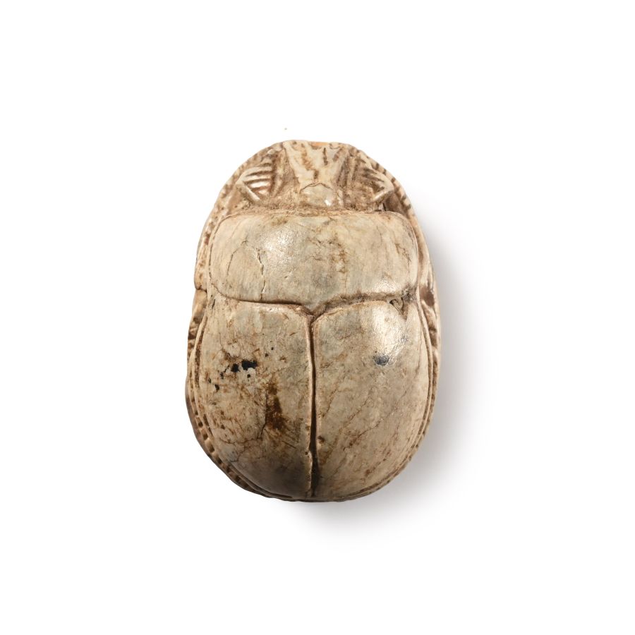 Egyptian Steatite Pharaoh Thutmose III Royal Scarab