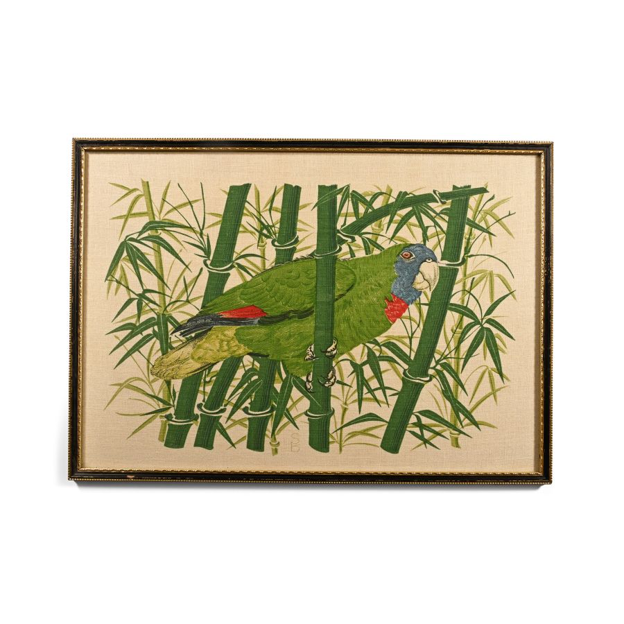 Framed Red-Necked Amazon Parrot on Linen