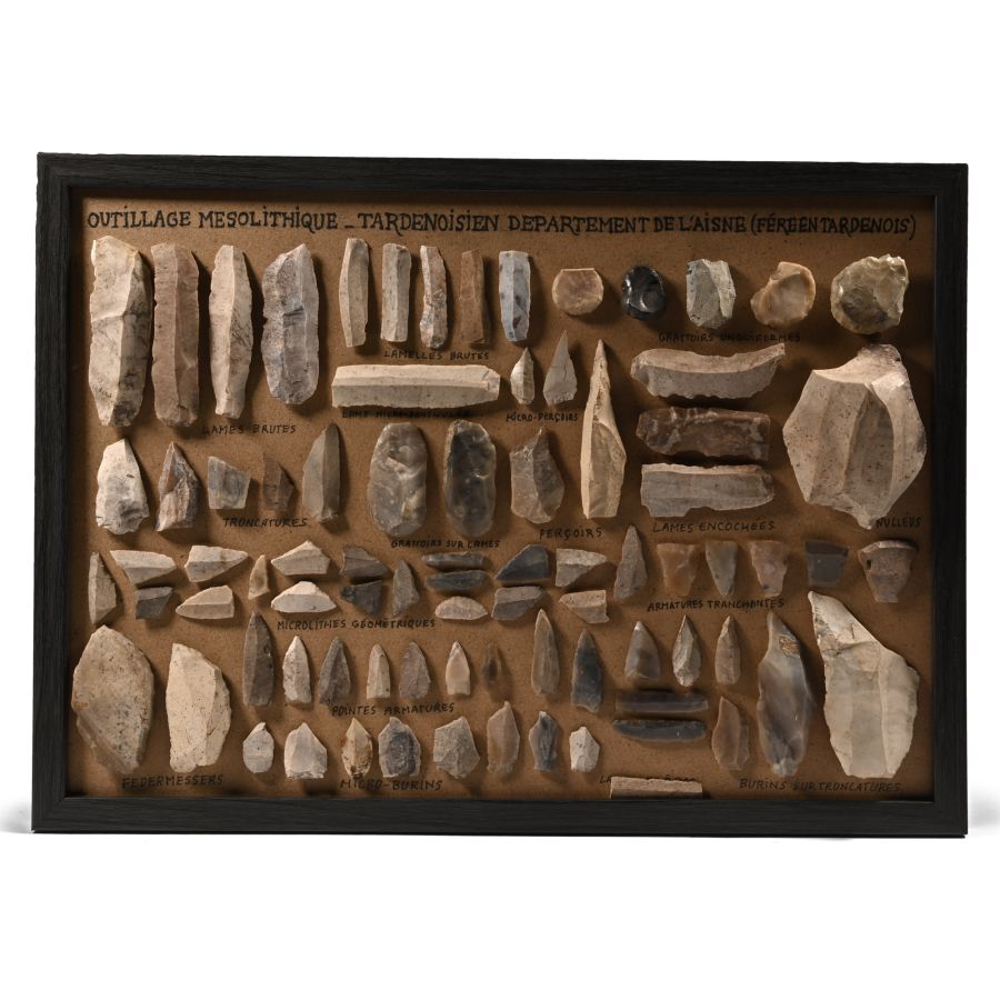 French Stone Age Framed Board of Mesolithic Tools