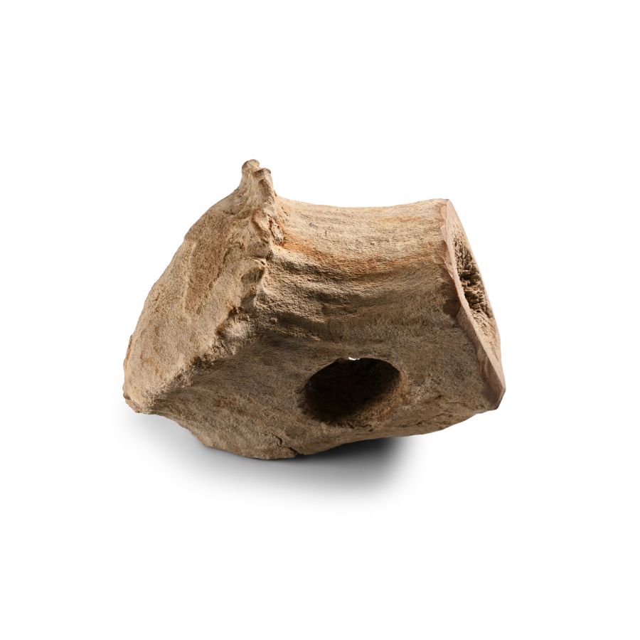 British Stone Age Socketted Bone Mace Head