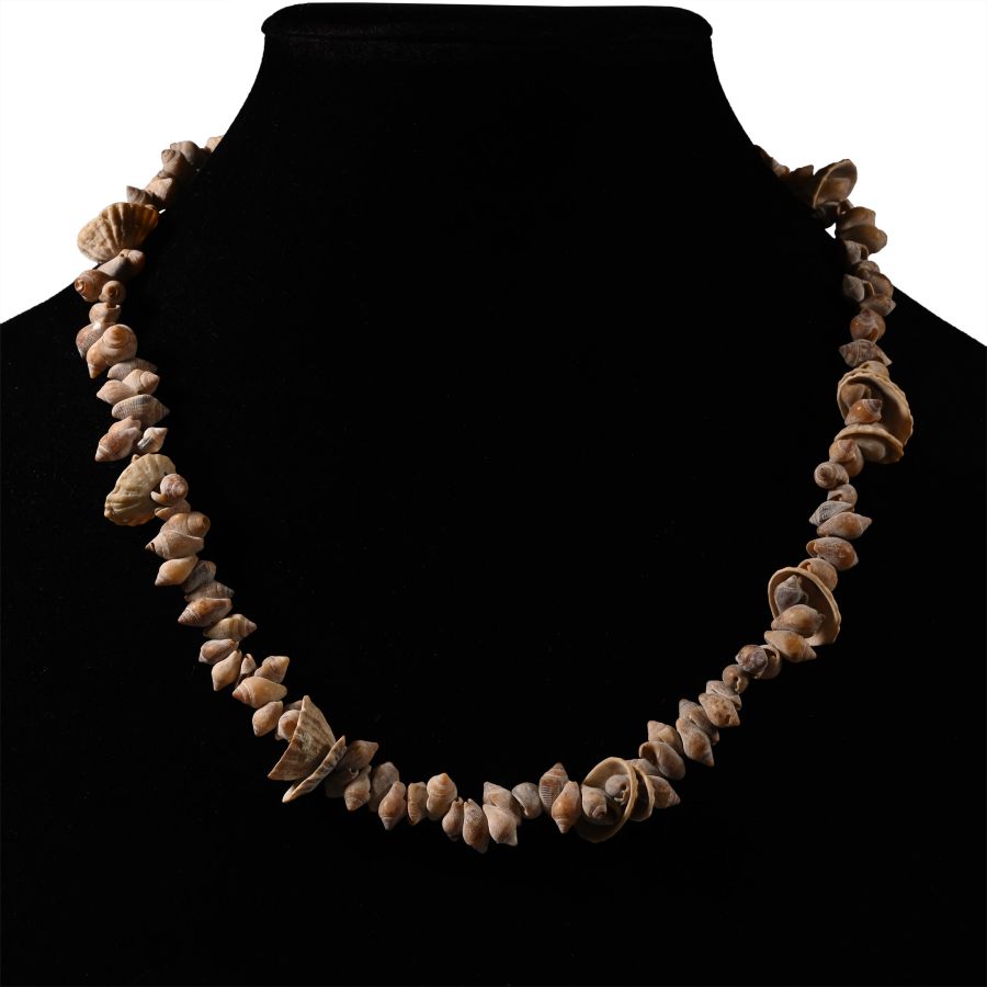 Egyptian Shell Bead Necklace