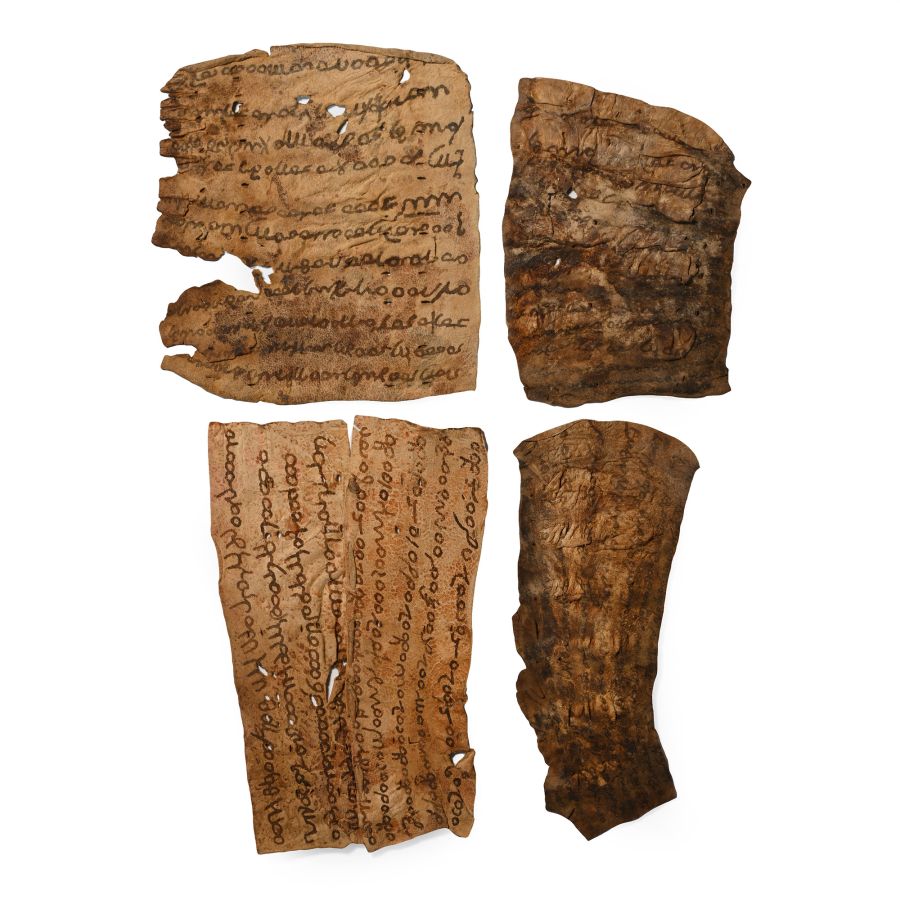 Western Asiatic Vellum Document Group