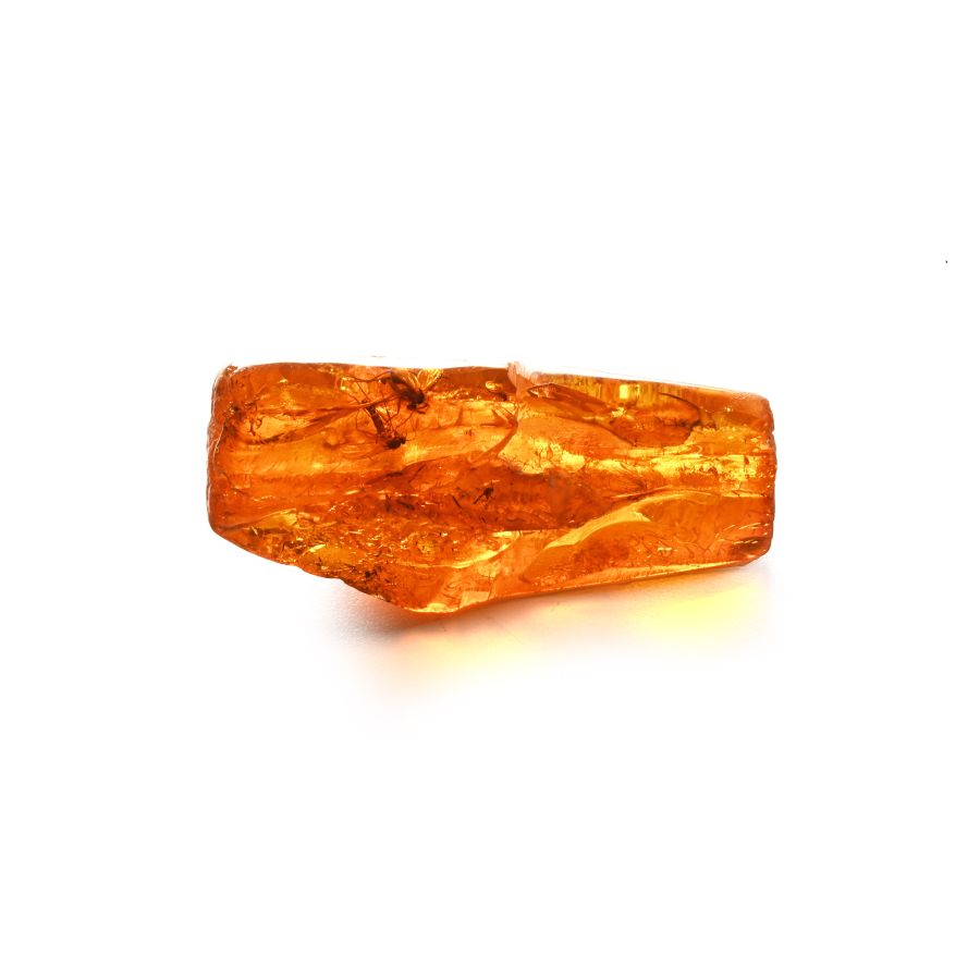 Polished Amber with Insects