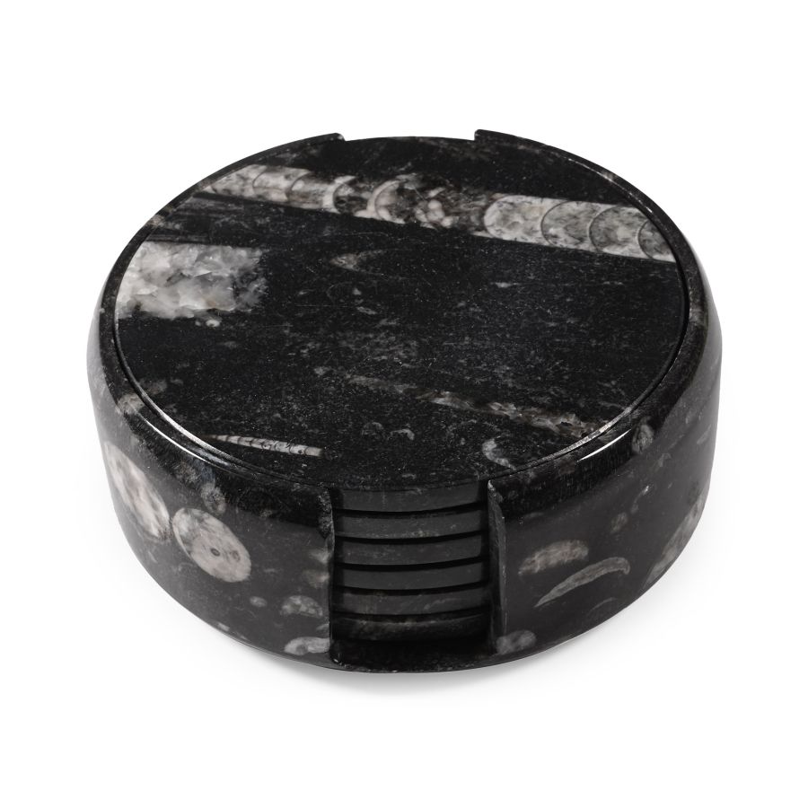 Polished Fossil Orthoceras Coaster Set