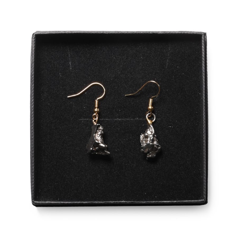Campo Del Cielo Meteorite Earring Pair