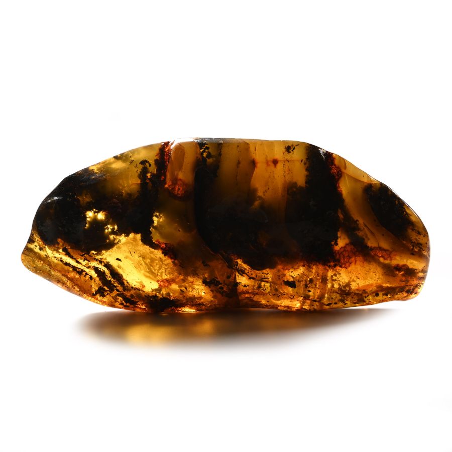 Large Polished Amber Specimen with Insect and Plant Inclusions