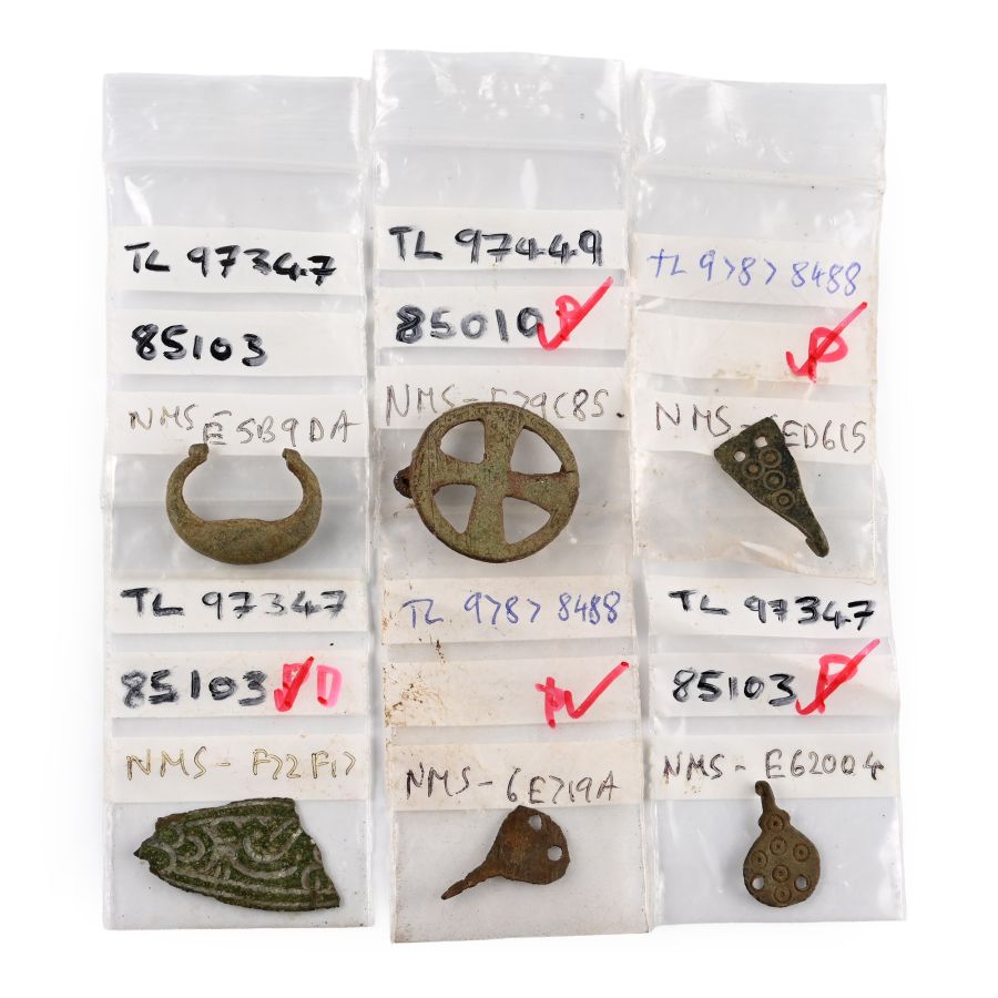 Anglo-Saxon and Viking Artefact Group