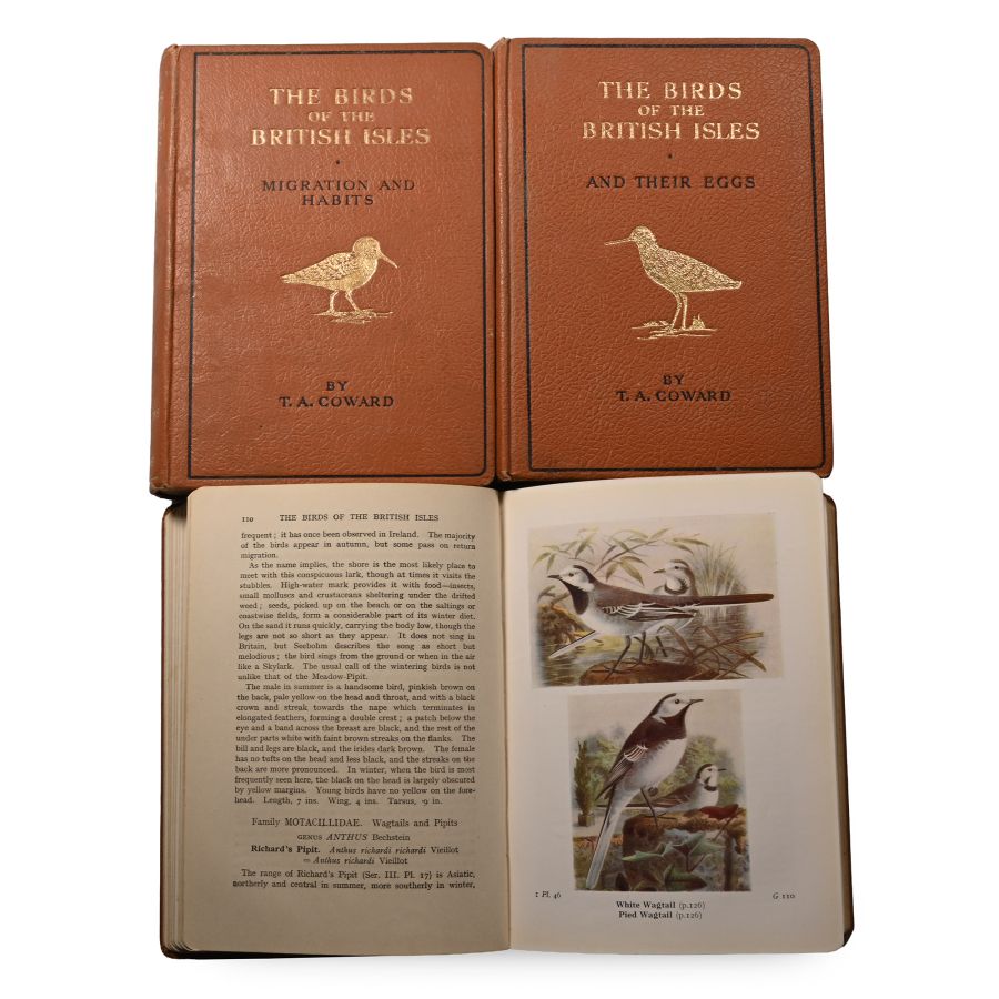 The Birds of the British Isles - Series 1 - 3