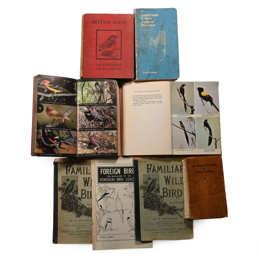 Books on Birds - 8 Titles