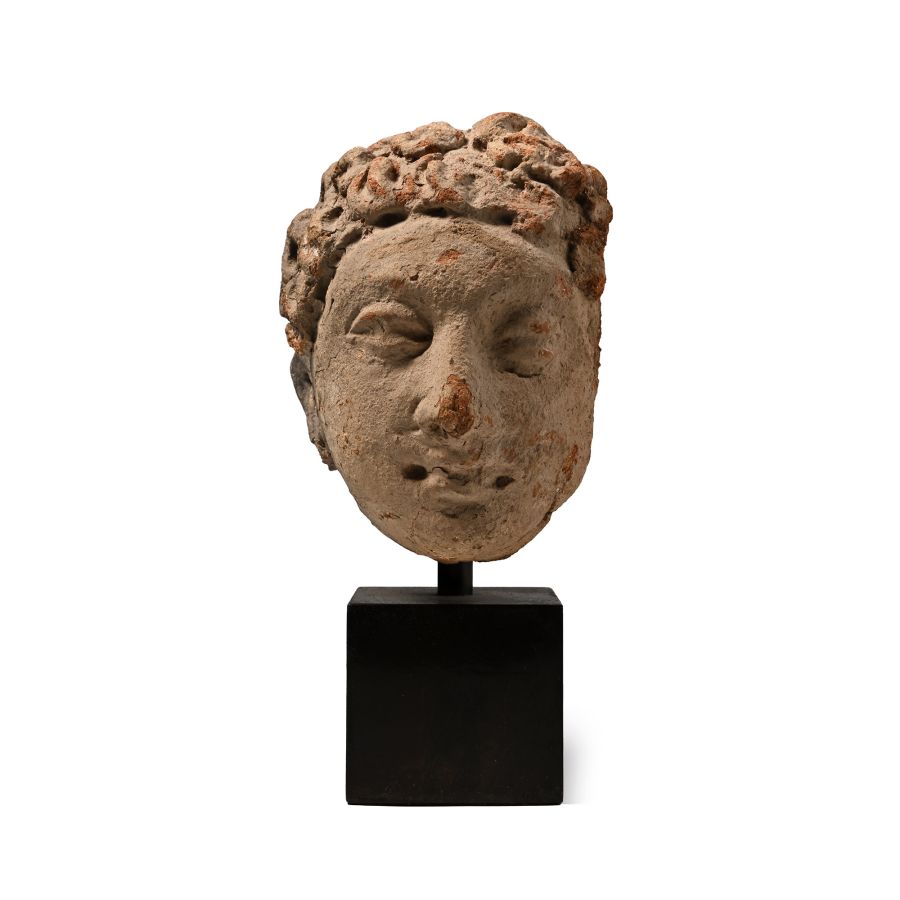Gandharan Terracotta Buddha Head
