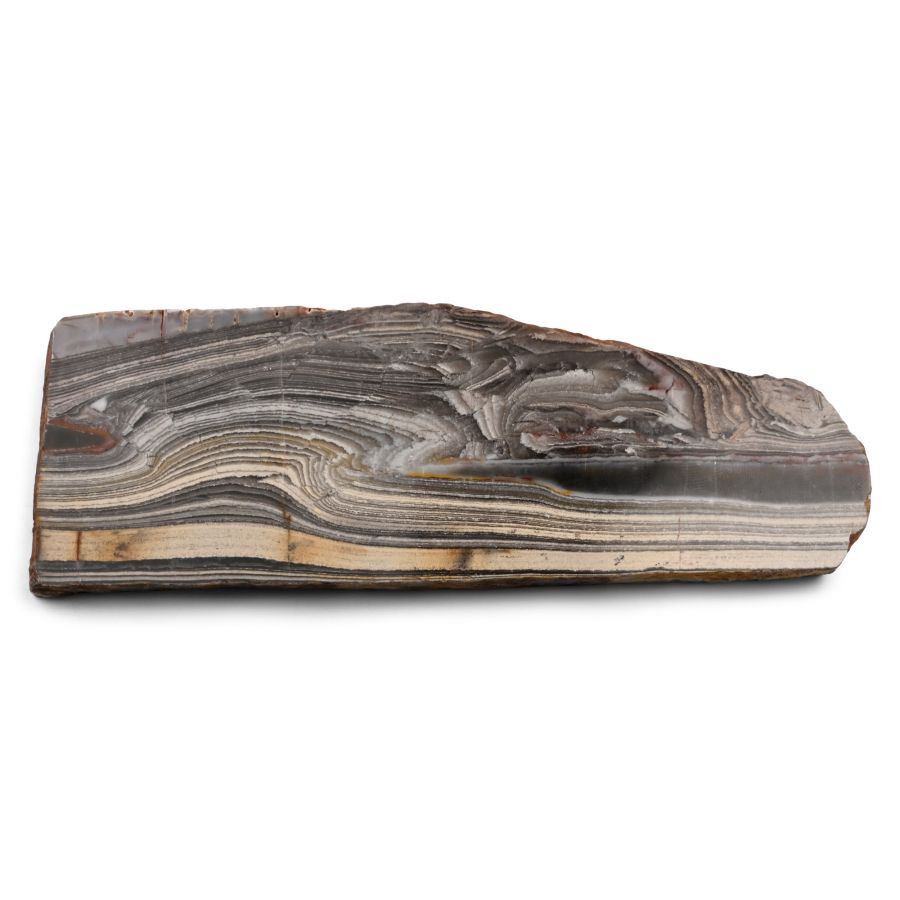 Western Australian Polished Jerrinah Formation Stromatolite Section