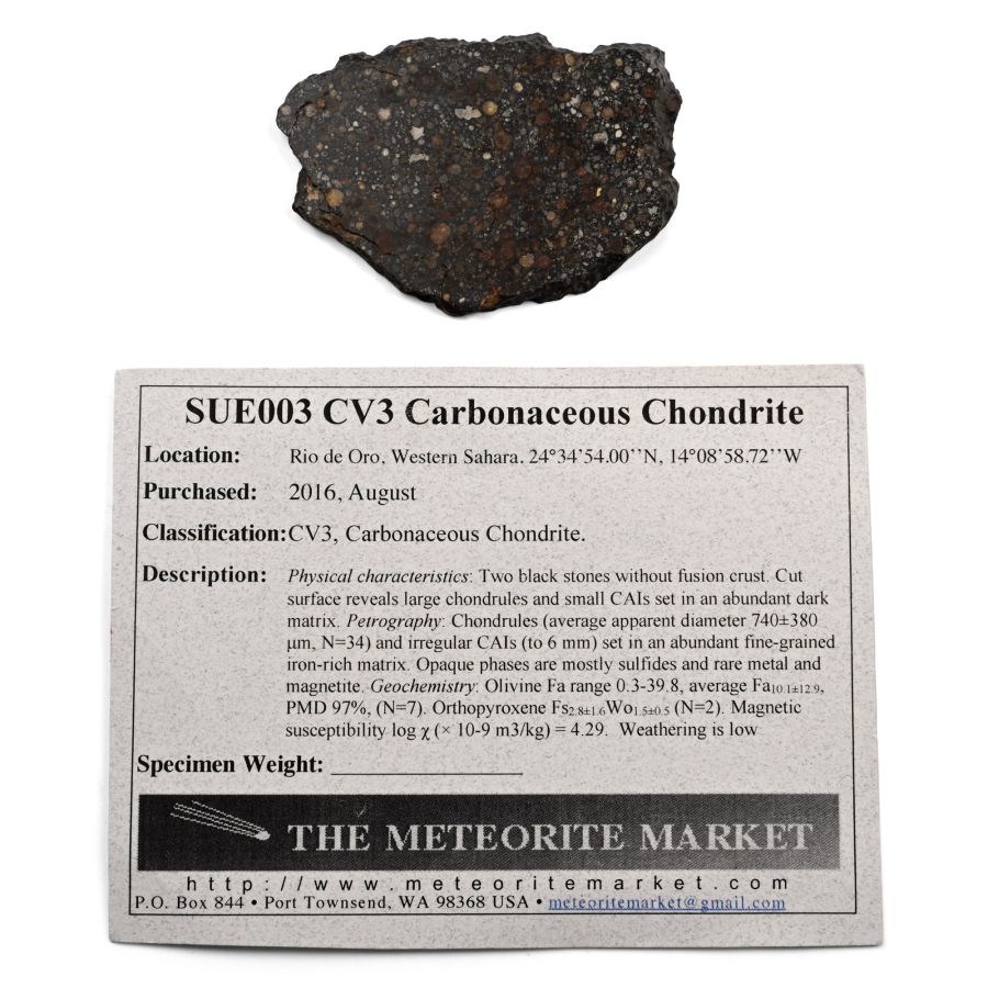 CV3 Carbonaceous Chondrite Cut and Polished Meteorite Slice