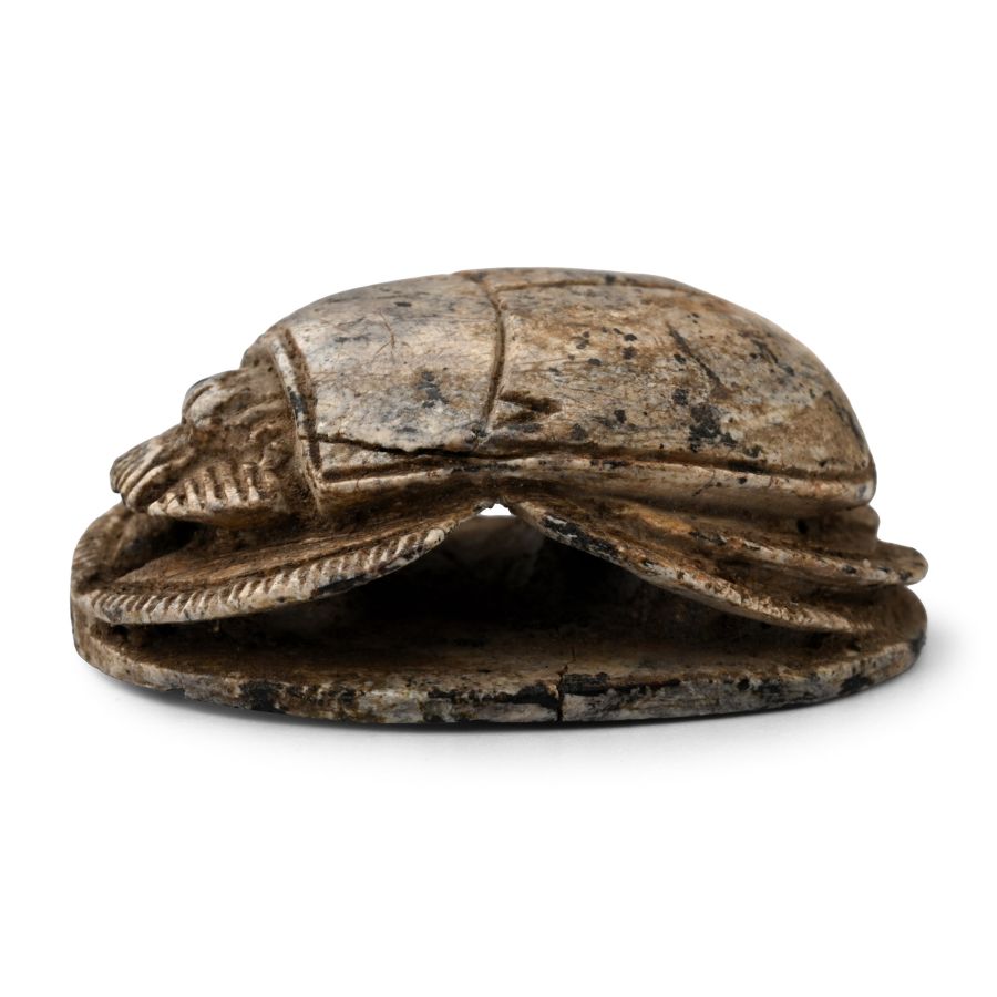 Large Egyptian Steatite Scarab