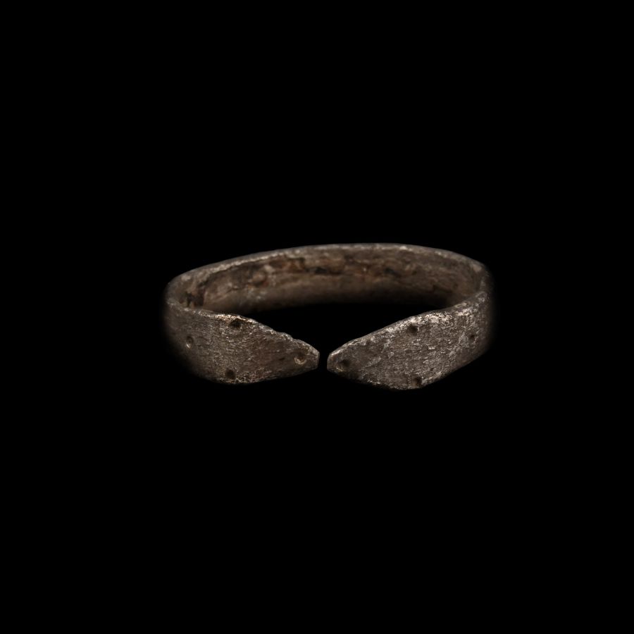Roman Silver Ring with Snake Heads