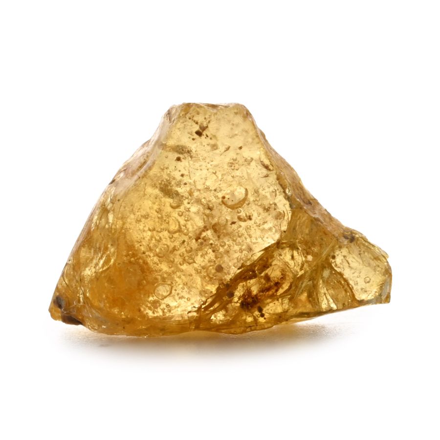 Fly in Baltic Amber