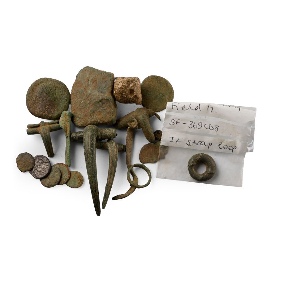 Roman and Other Bronze Artefact Group
