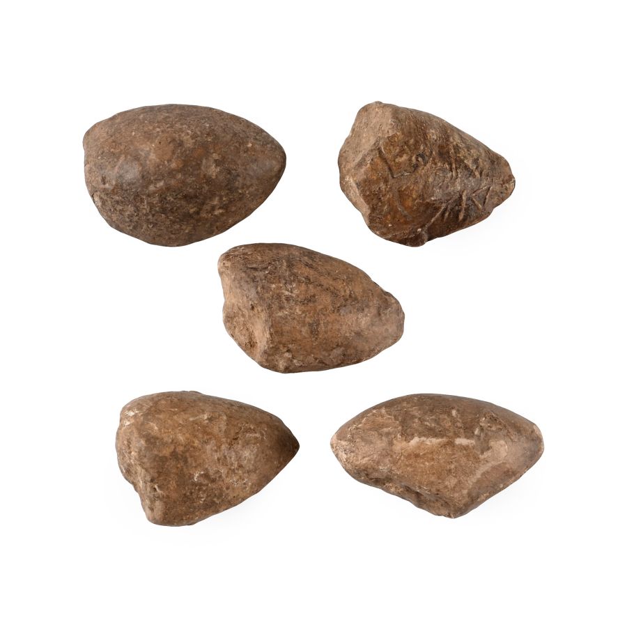 Greek Macedonian Lead Inscribed Impacted Slingshot Group