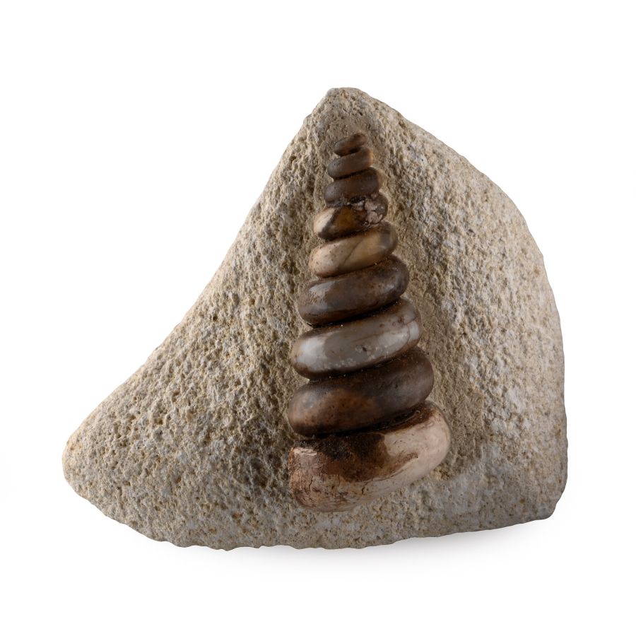Fossil Gastropod Specimen