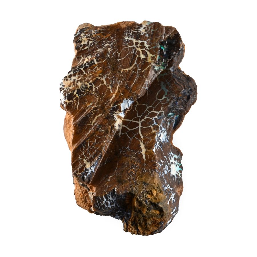 Boulder Opal Mineral Display Specimen