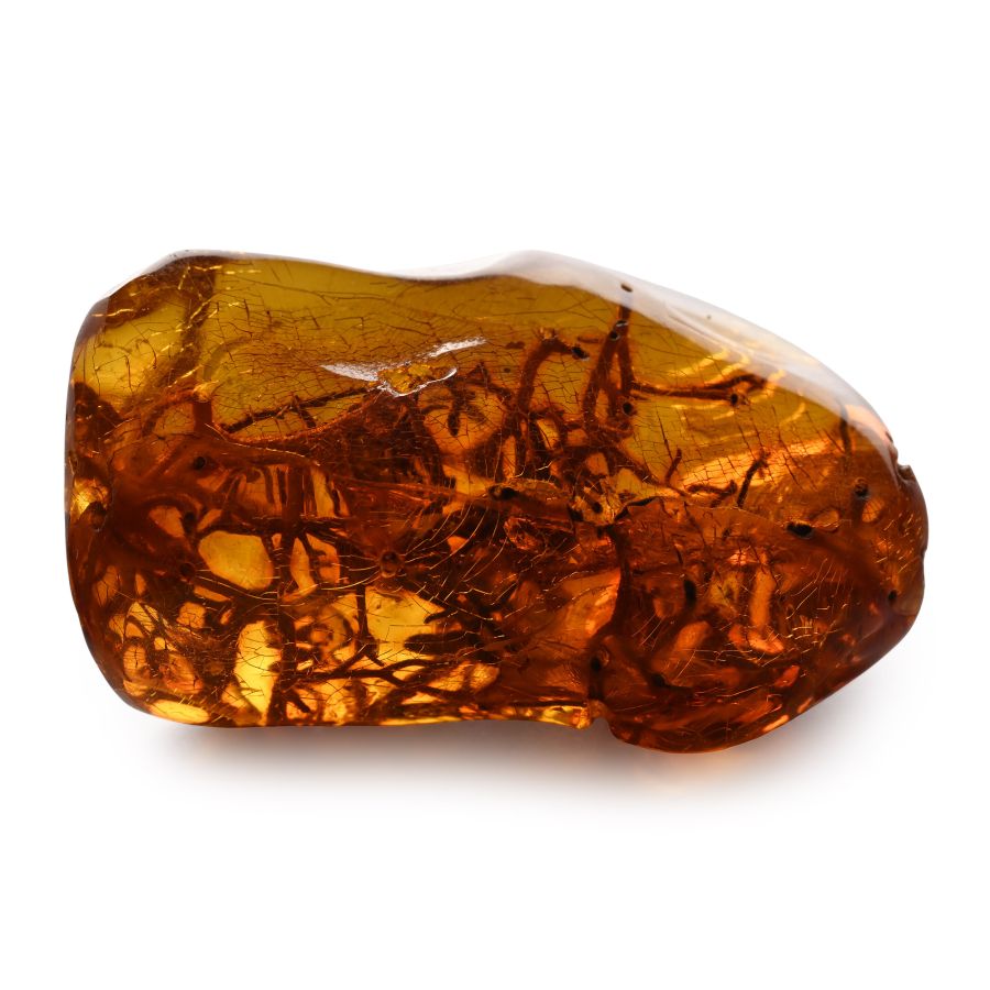 Insect Nest in Polished Amber
