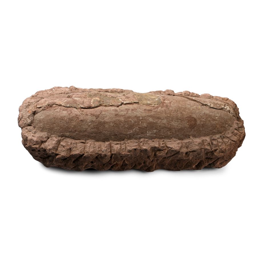 Large Fossil Theropod Dinosaur Egg