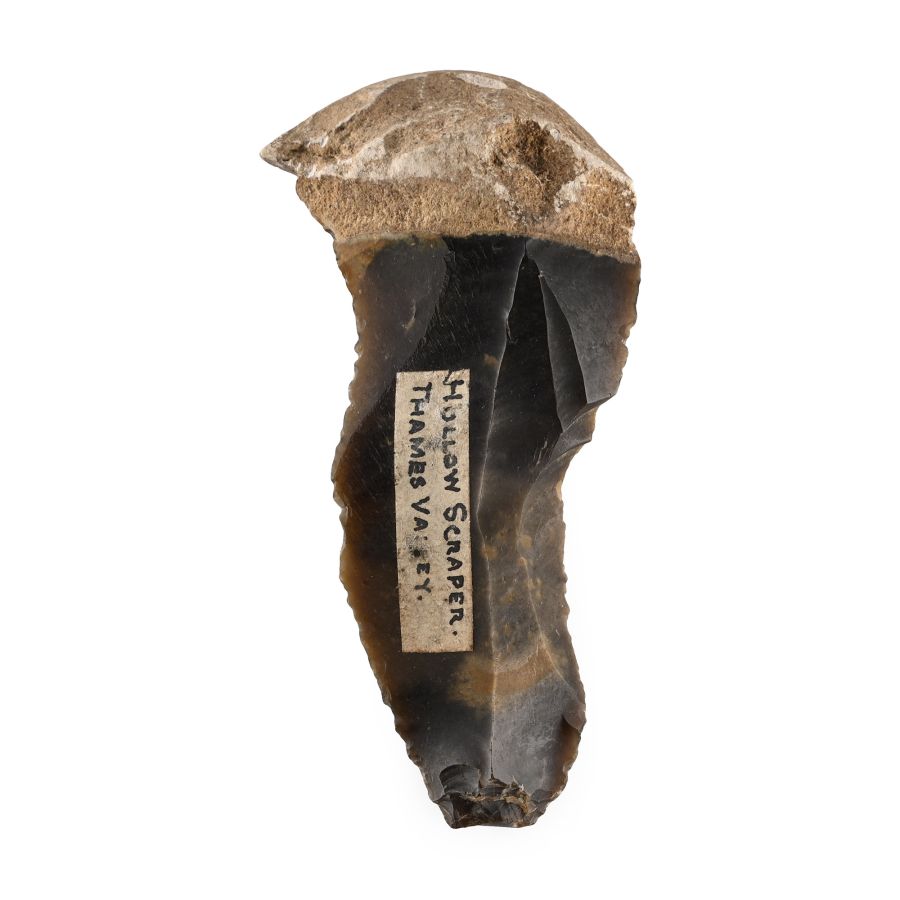 Stone Age Flint Long Hollow Core Scraper
