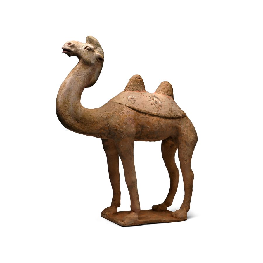 Chinese Tang Terracotta Camel