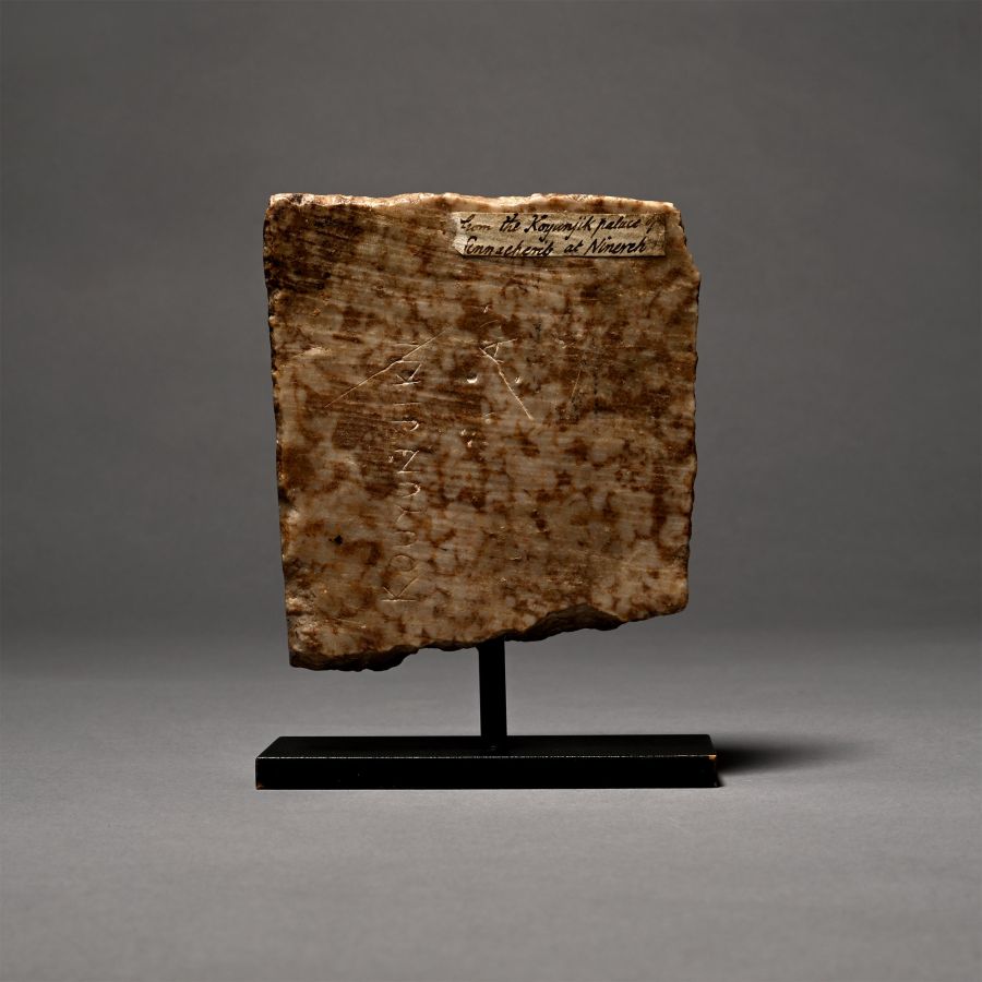Assyrian Gypsum Relief with Head of a Bearded Man