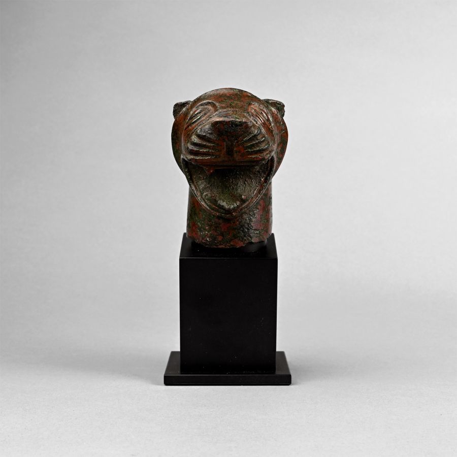 Etruscan Bronze Lion Head