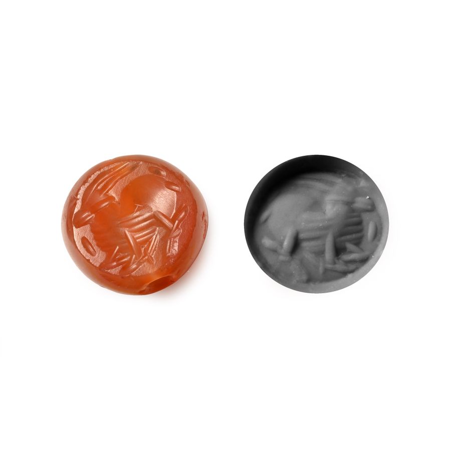 Sasanian Carnelian Stamp Seal with Antelope