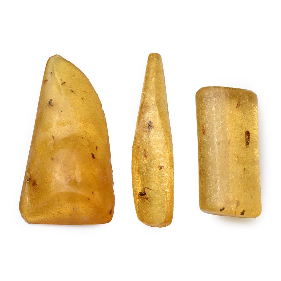 Polished Copal with Insects Group