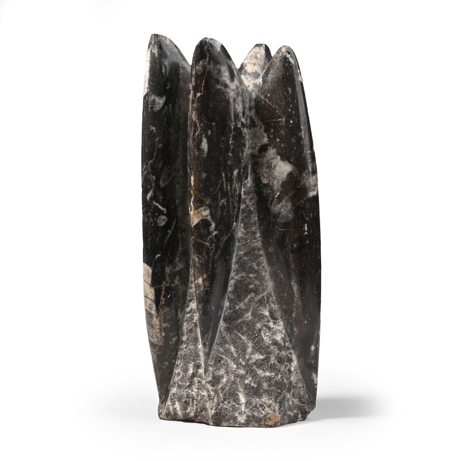 Polished Fossil Orthoceras Column
