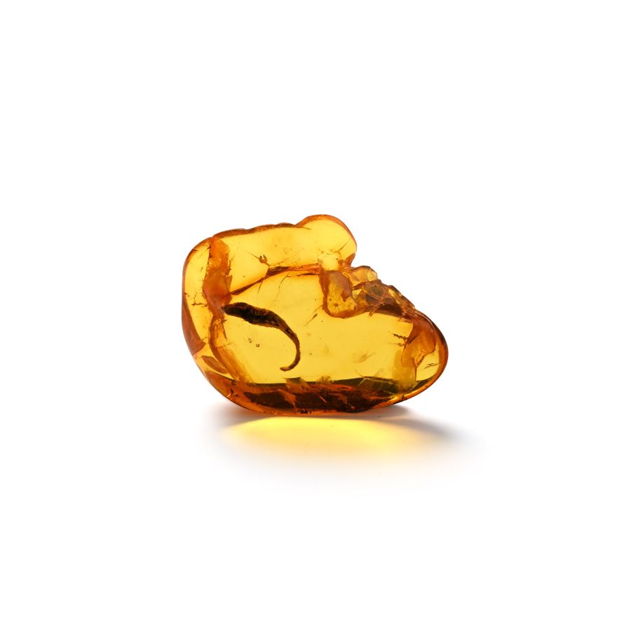 Polished Amber with Inclusion