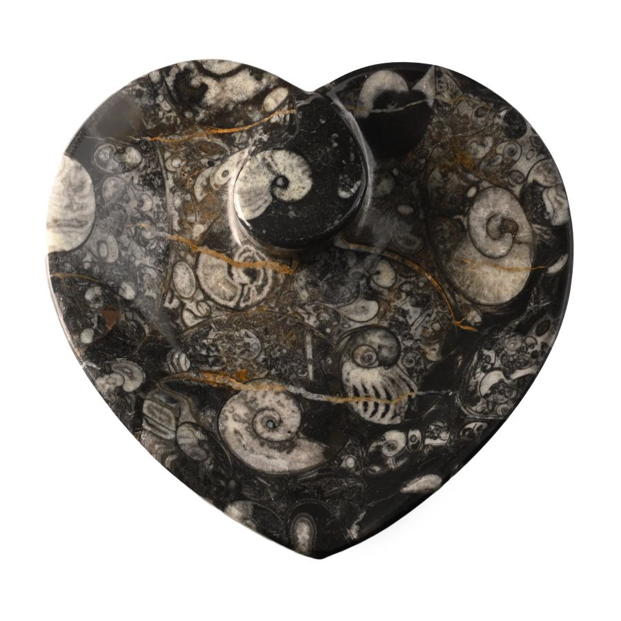 Fossil Goniatite Heart-Shaped Trinket Tray