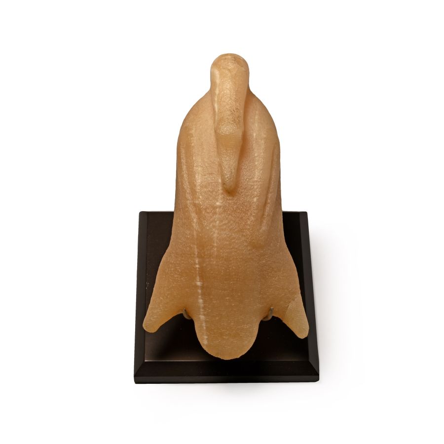 Egyptian Alabaster Trussed Duck