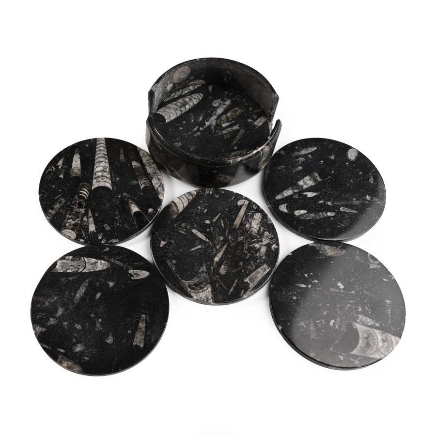 Polished Fossil Orthoceras Coaster Holder with Coasters