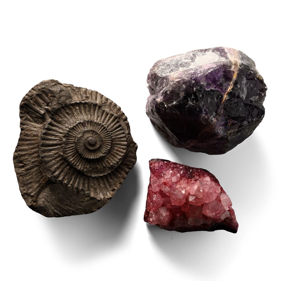 Mineral and Fossil Impression Group