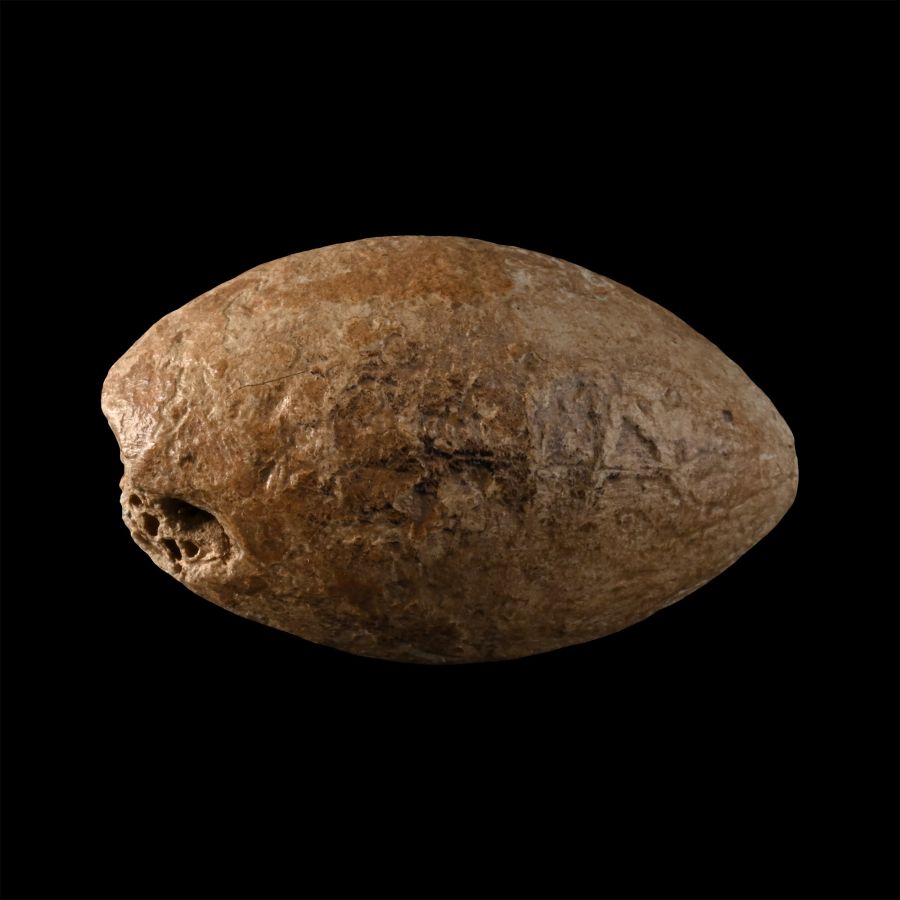 Greek Macedonian Lead Inscribed Slingshot