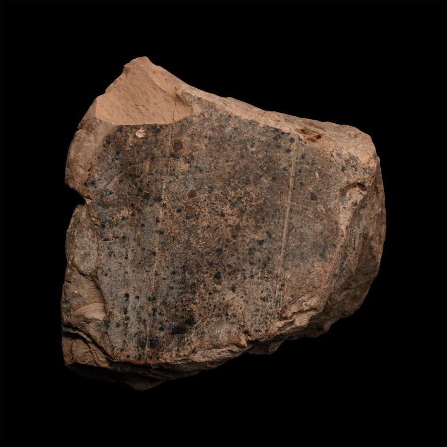 Western Asiatic Cuneiform Tablet Fragment