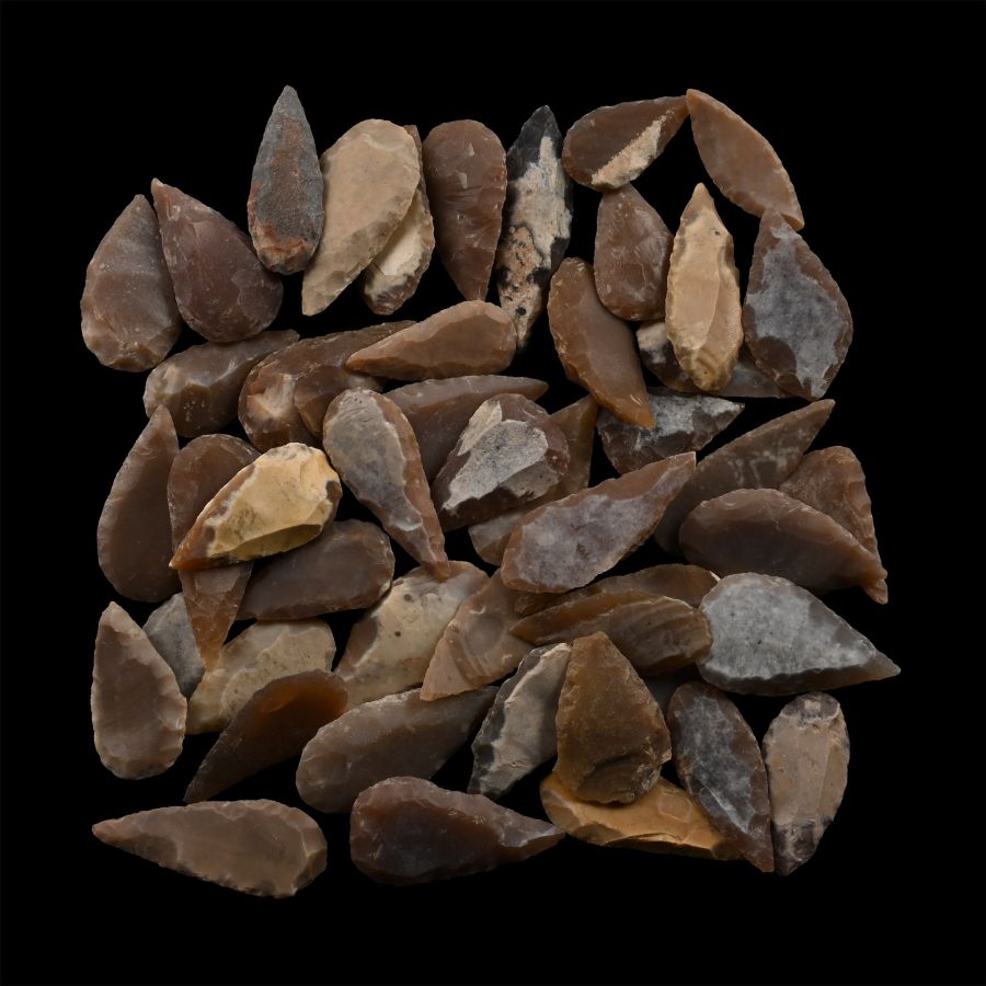 Stone Age Leaf-Shaped Arrowhead Collection