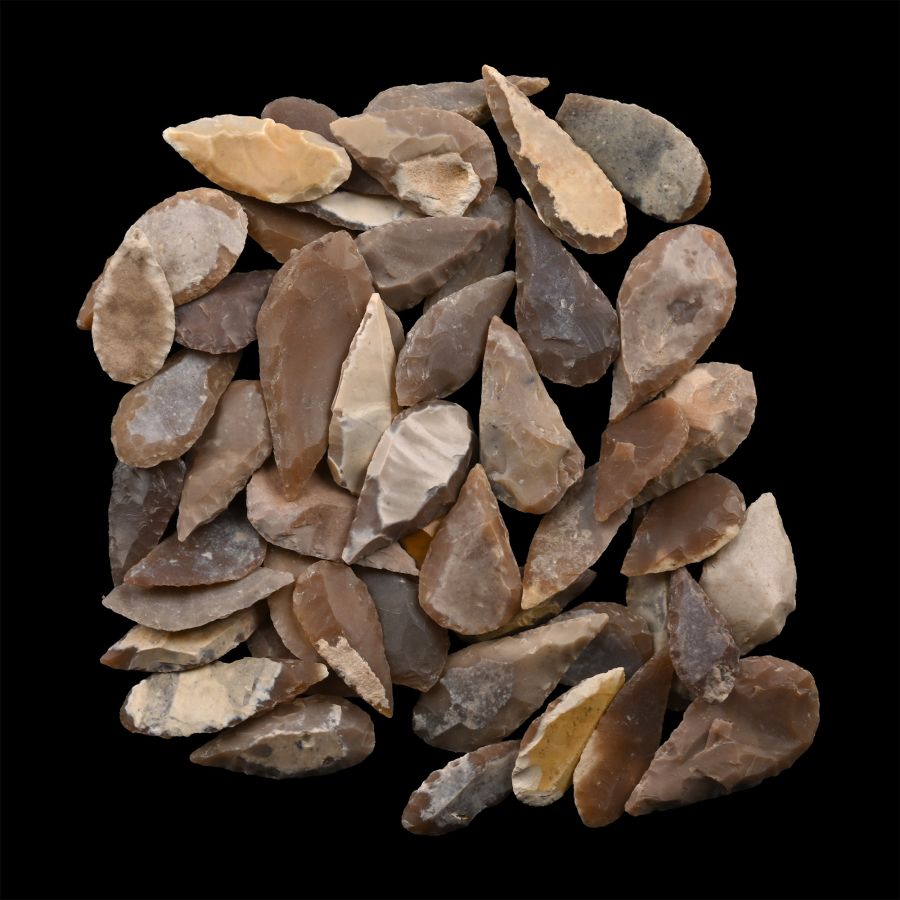 Stone Age Leaf-Shaped Arrowhead Collection