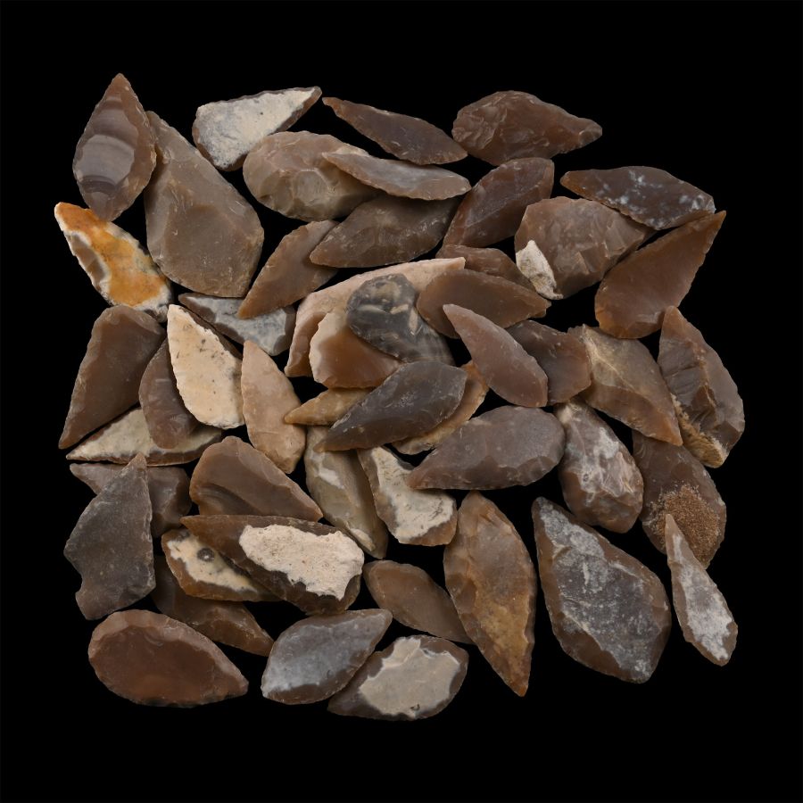 Stone Age Leaf-Shaped Arrowhead Collection