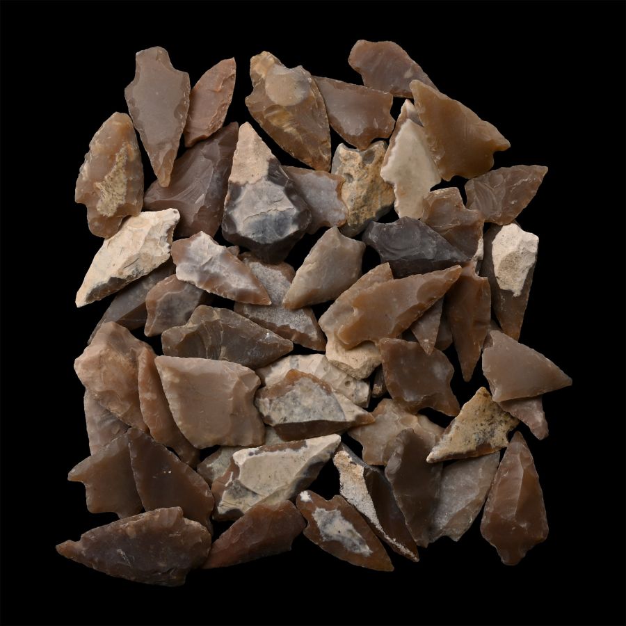 Stone Age Barbed and Tanged Arrowhead Collection