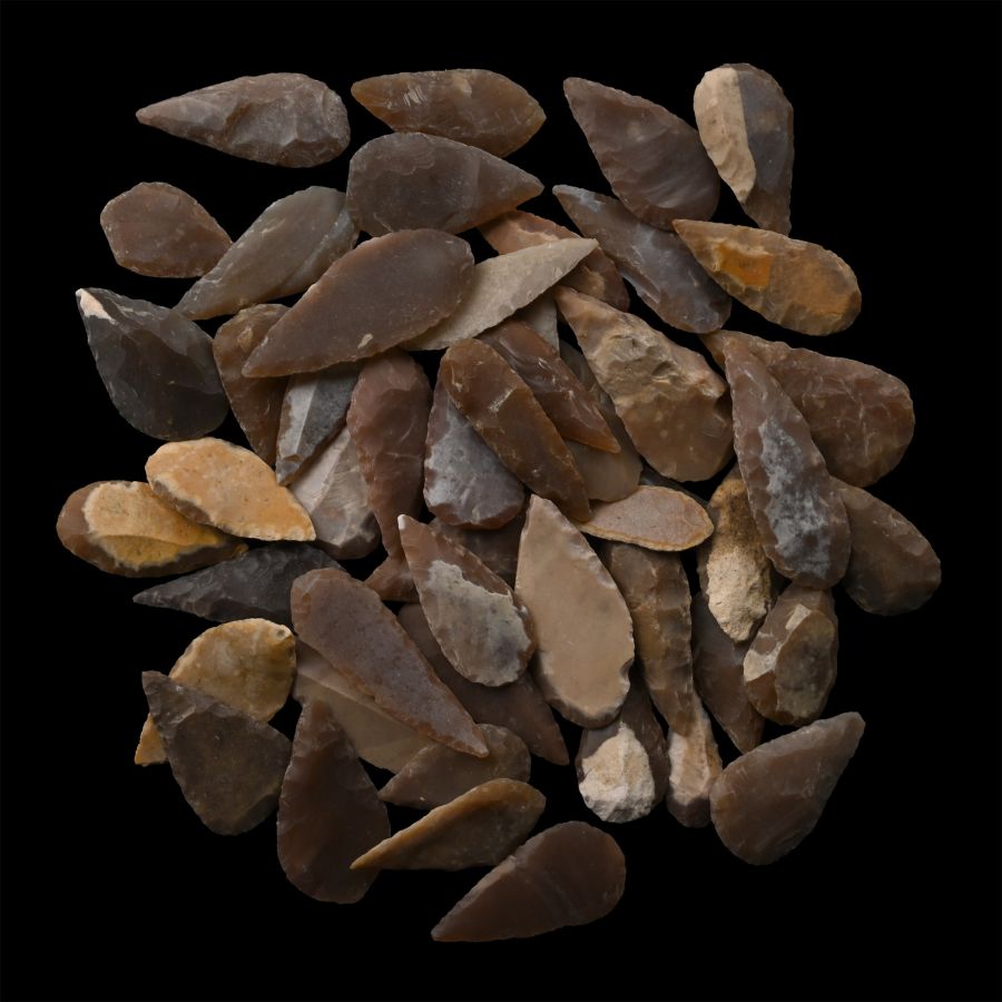 Stone Age Leaf-Shaped Arrowhead Collection