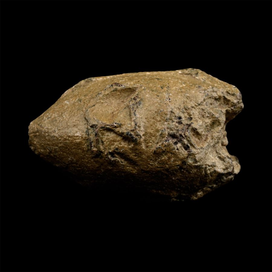 Greek Macedonian Lead Impacted Slingshot