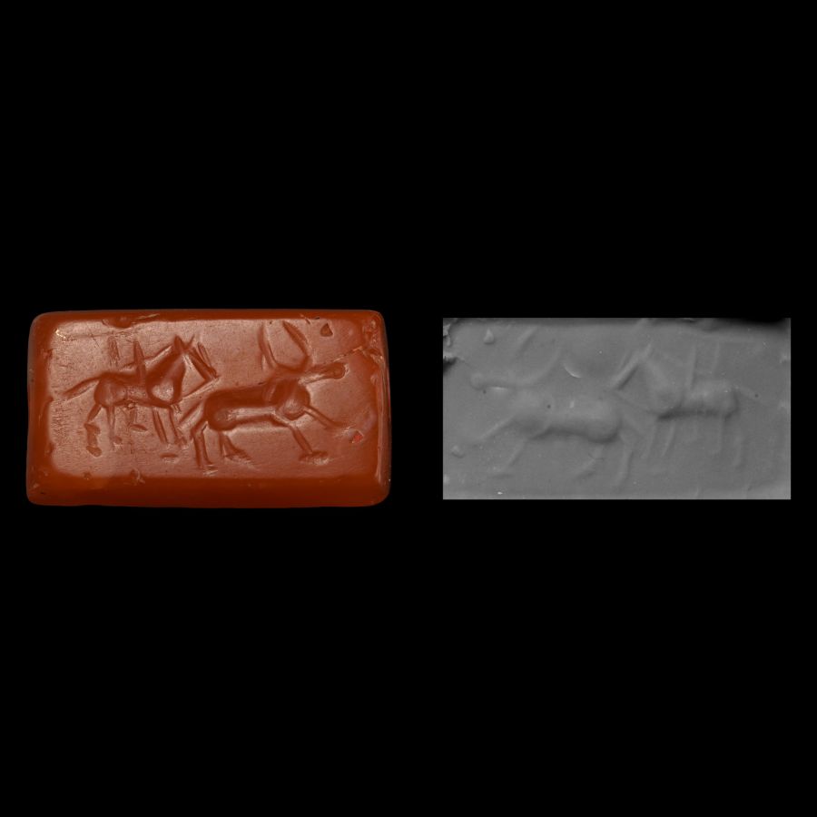 Western Asiatic Carnelian Scaraboid Seal with Bull