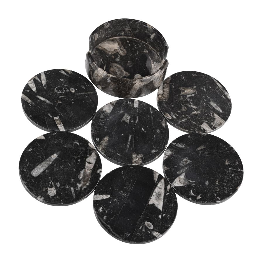 Polished Fossil Orthoceras Coaster Holder with Coasters