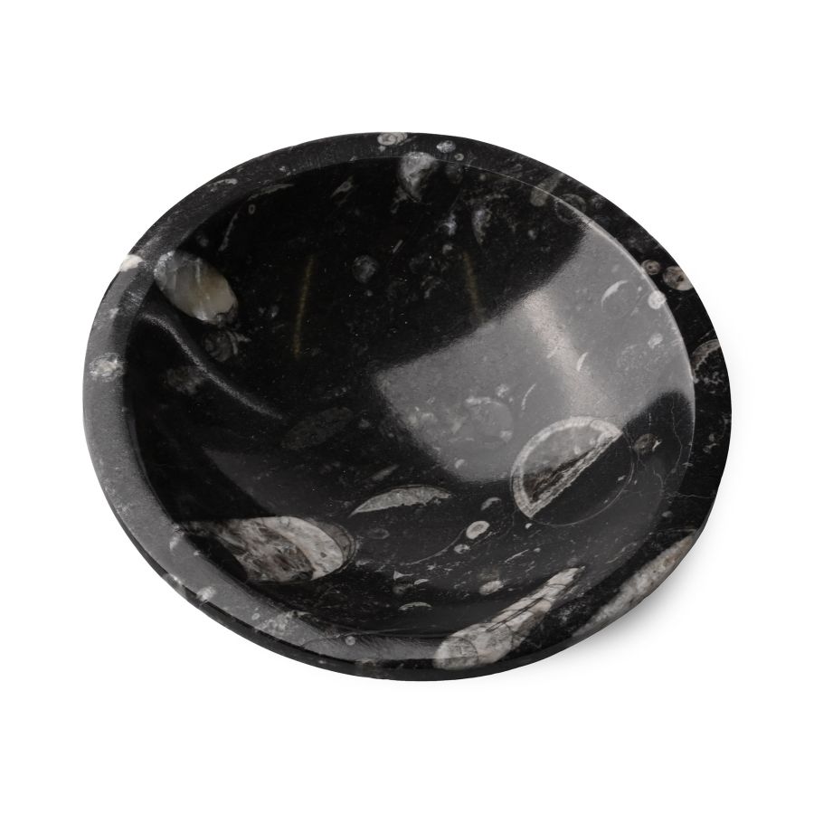 Polished Fossil Orthoceras Bowl